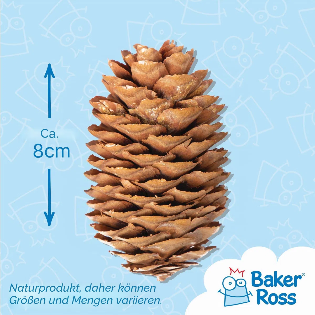 Baker Ross Lange Tannenzapfen 250g