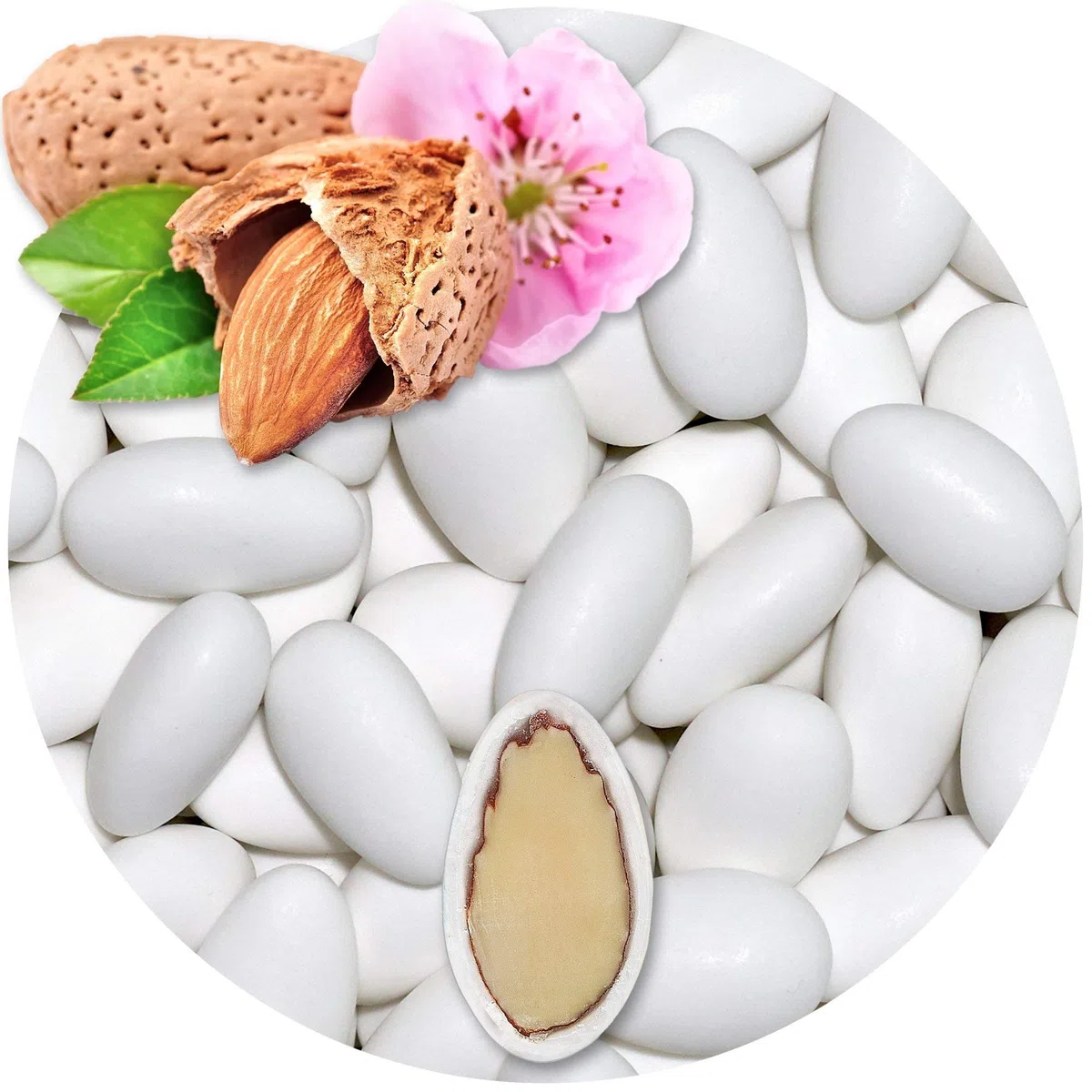 EinsSein 1kg Hochzeitsmandeln Imposante Weiß Matt | ca. 200 Stück Premium Zuckermandeln für Hochzeit Taufe & Gastgeschenke | Mandeln Bonboniere Confetti Badem Sekeri Taufmandeln