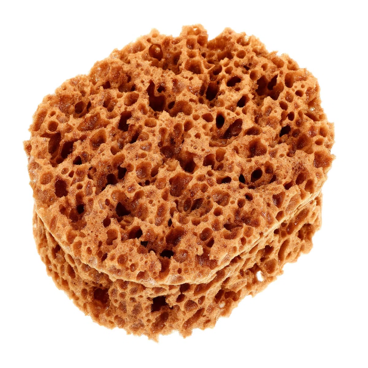 Farbschwämme zum Malen mit Natürlicher Algenstruktur Schwämme aus Schwammmaterial für Feine Muster und Makelloses Finish Geeignet für Möbel und Wände