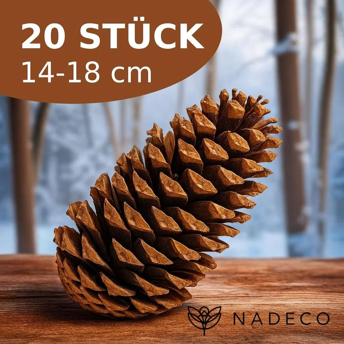 NaDeco Maritima-Zapfen 14-18cm, Set 20 Stück, Pinus Pinaster große Deko-Zapfen Tannenzapfen, Adventskranz & Weihnachts-Dekoration, Natürlich Groß zum basteln, Weihnachtsbaum & Advents-Gesteck