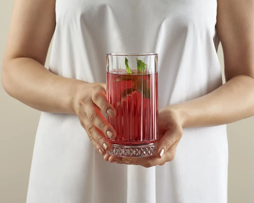 Pasabahce Set mit 4 Gläsern Elysia Long Drink cl 44,5, Durchsichtig, 4 Stück (1er Pack) 520015