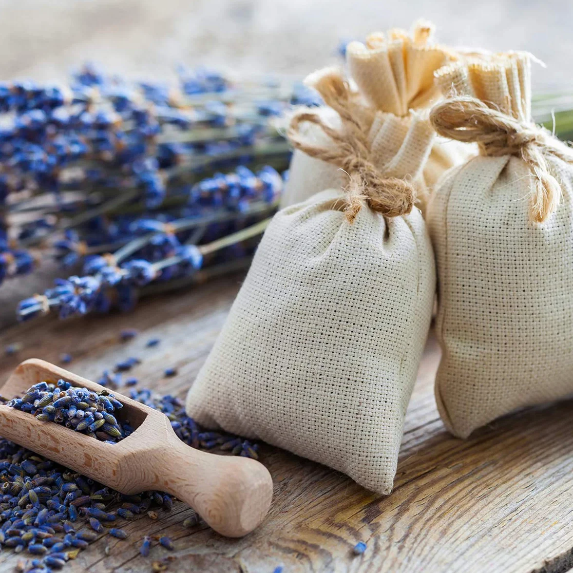 NaturaForte Lavendelblüten 500 g - Duftintensiv & bläulich, Lavendel getrocknet für Duftkissen, Potpourri Duft, Lavendelsäckchen, Seifen, Duftsäckchen