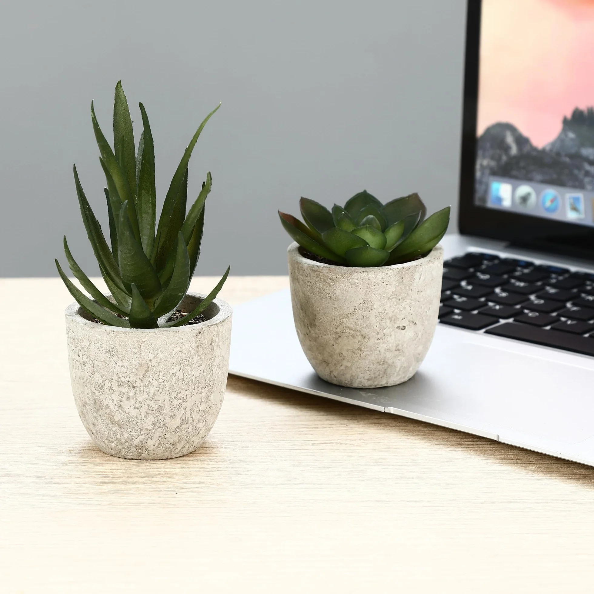 5 Stück Kunstpflanze, Mini Künstliche Pflanzen Schlangenzunge, Agave Sukkulente, Eagle Claw Aloe, Künstliche Pflanzen für Schlafzimmer Büro Dekoration (Originalfarbe)