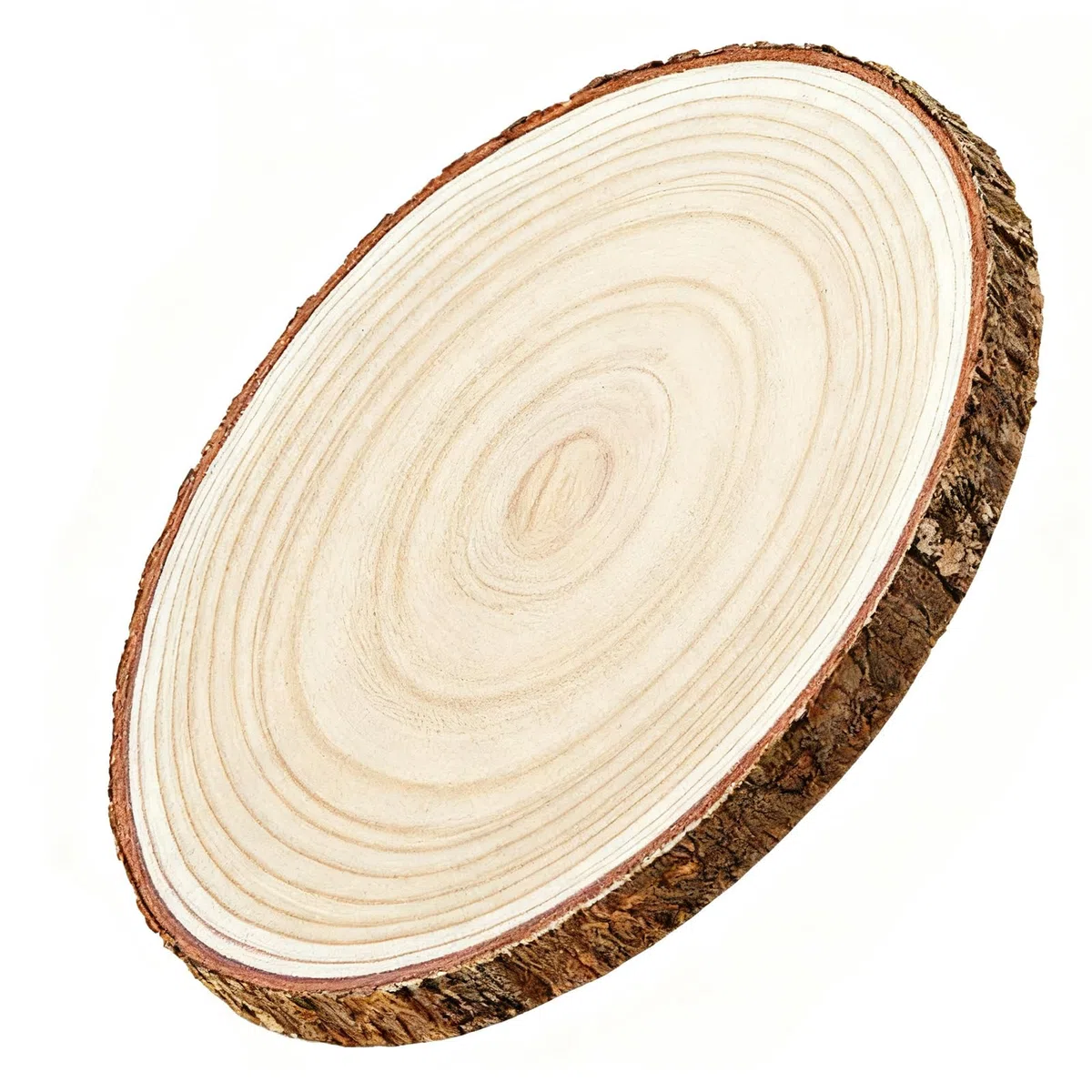 35-38cm Große Baumscheibe holzscheiben mit Rinde 2cm Untersetzer Holz Log Rustikale Kerzenständer für DIY Basteln (35-38cm/1pcs)