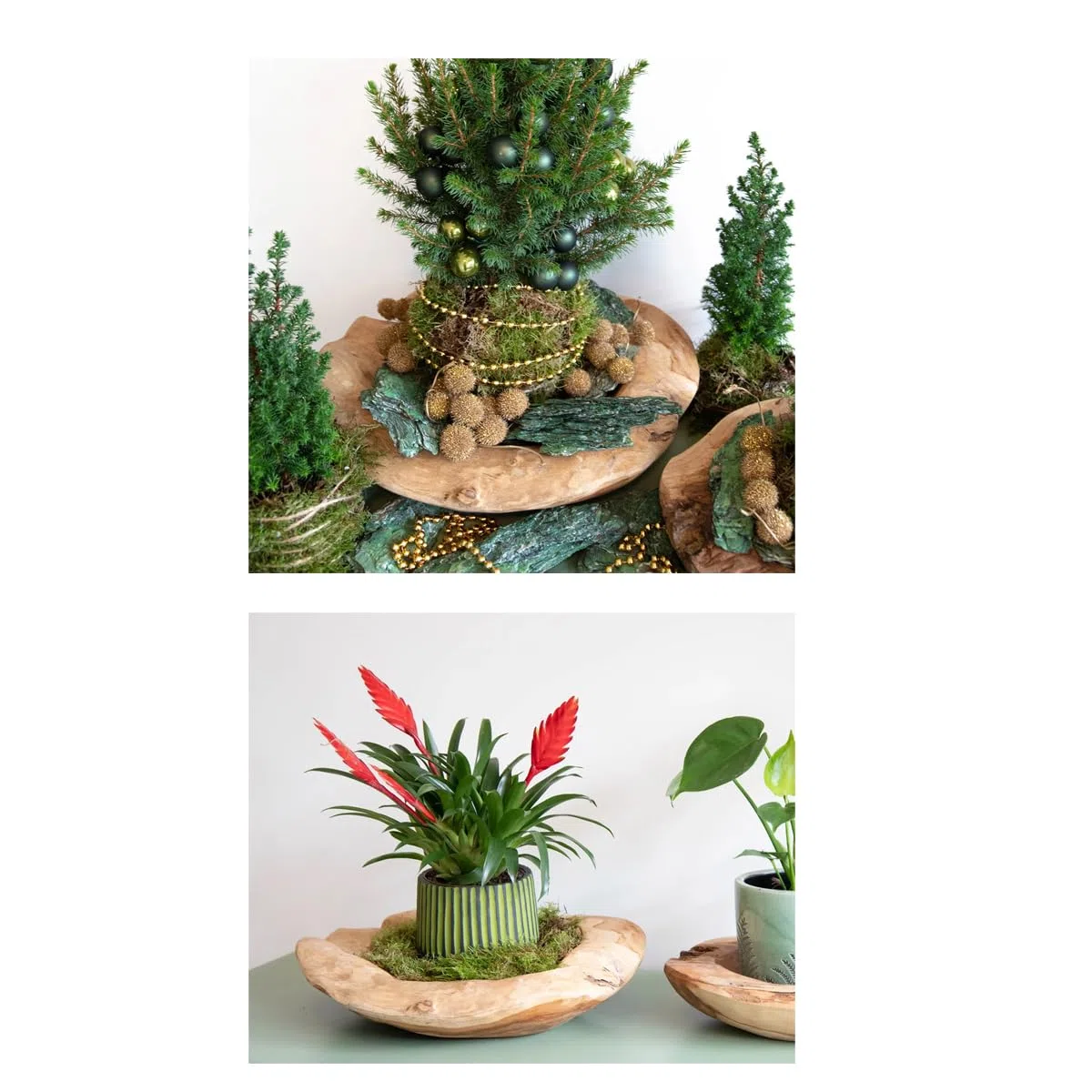 LB H&F Teakschale Dekoschale Holzschale Teak Schale Schmuckschale ca. Ø 30 cm massiv Wurzelholz natur handgemacht Schlüsselschale