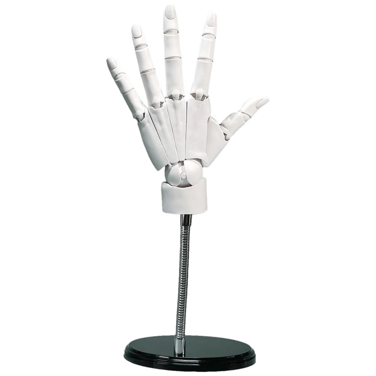 Gelenkhand 1:1 8x14 Zoll linkes Handmodell mit beweglichem Gelenk und Basis, DIY-freundliches PVC-Modell zum Zeichnen, Malen, Skizzieren, weißes Handmodell zum Zeichnen, Gliederhand