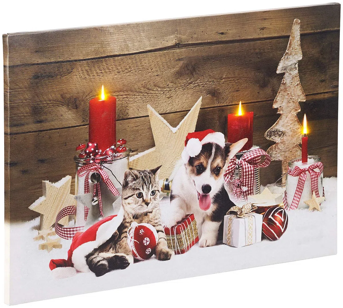 infactory Bilder Leinwand: LED-Wandbild, Weihnachts-Tierbabys-Motiv, 3 Flacker-LEDs, 60 x 40 cm (Bilder Weihnachtsmotiv, Wandbild Weihnachtsbaum, Kerze)