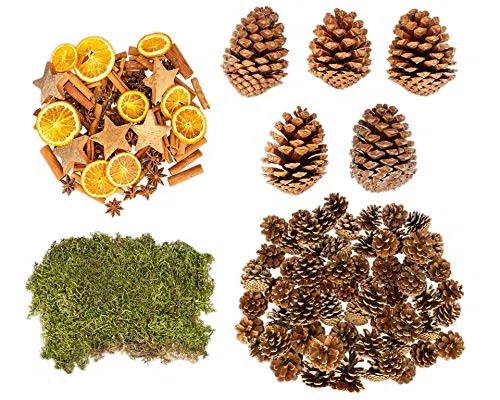 NaDeco Weihnachtsdeko-Paket groß besteht aus Weihnachts Potpourri 250g, 1kg Tannenzapfen, 50g Dekomoos, 5 Großen Pinus Maritima Zapfen