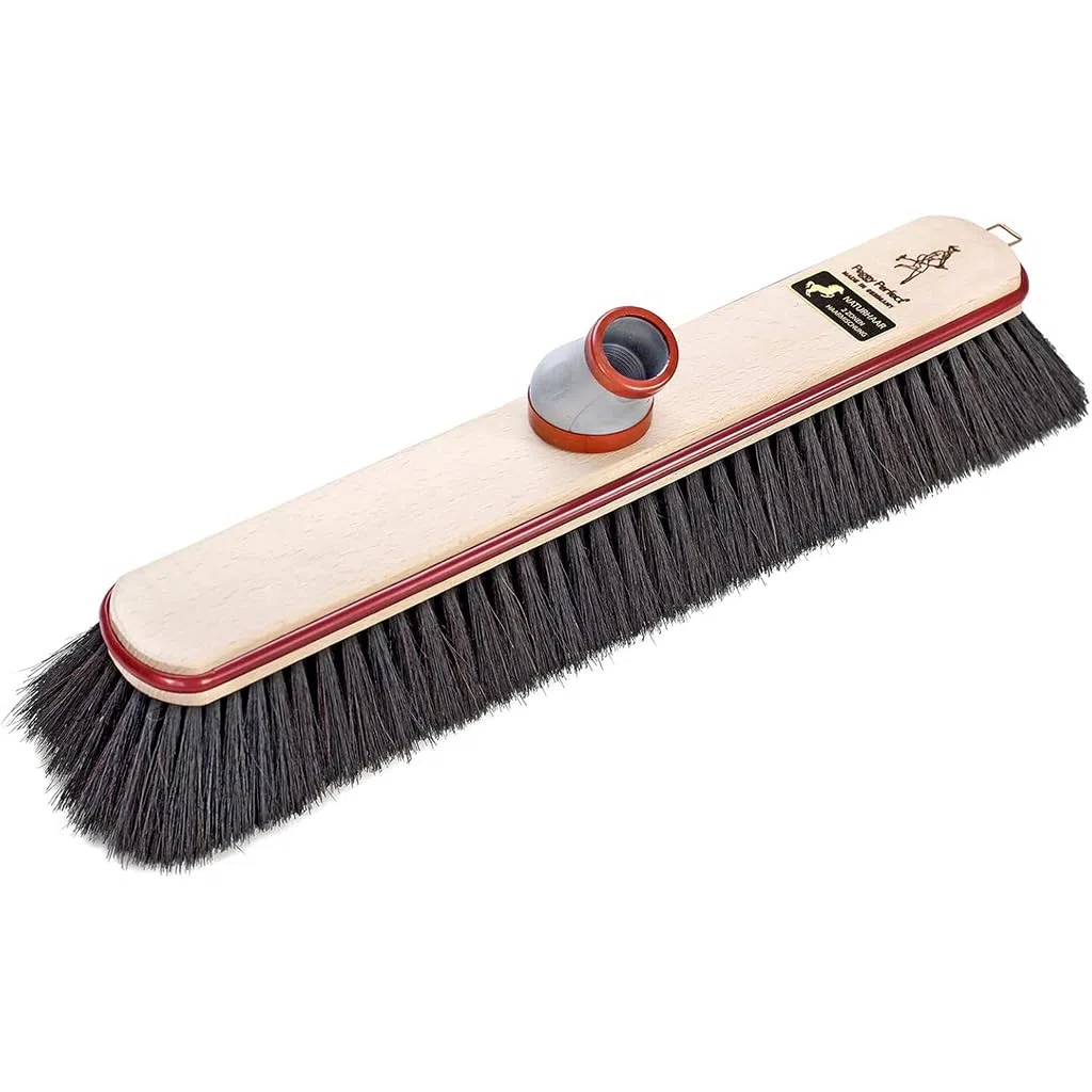 Peggy Perfect Stubenbesen Zimmer- Laminat- Parkett- Besen mit Rosshaar Besatz und Teleskopstiel, Beige, 44,5cm x 6,5cm x 7,5cm, 4031