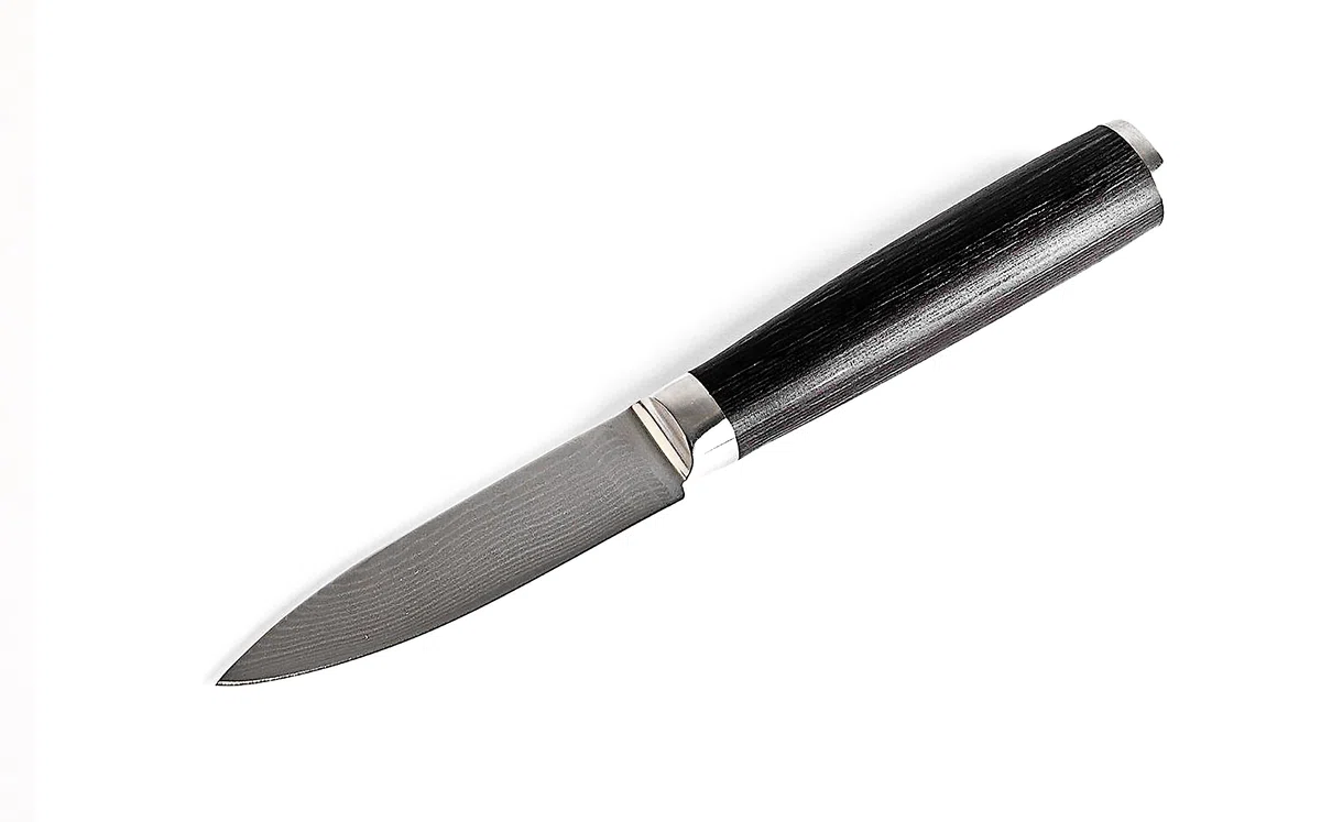 Echtwerk Damaszener Schälmesser, Gemüsemesser/Obstmesser, kleines handliches Küchenmesser/ Allzweckmesser, aus Damaststahl, Messergriff aus Pakka-Holz, Klinge mit Glattschliff, Klinge ca. 8,5 cm