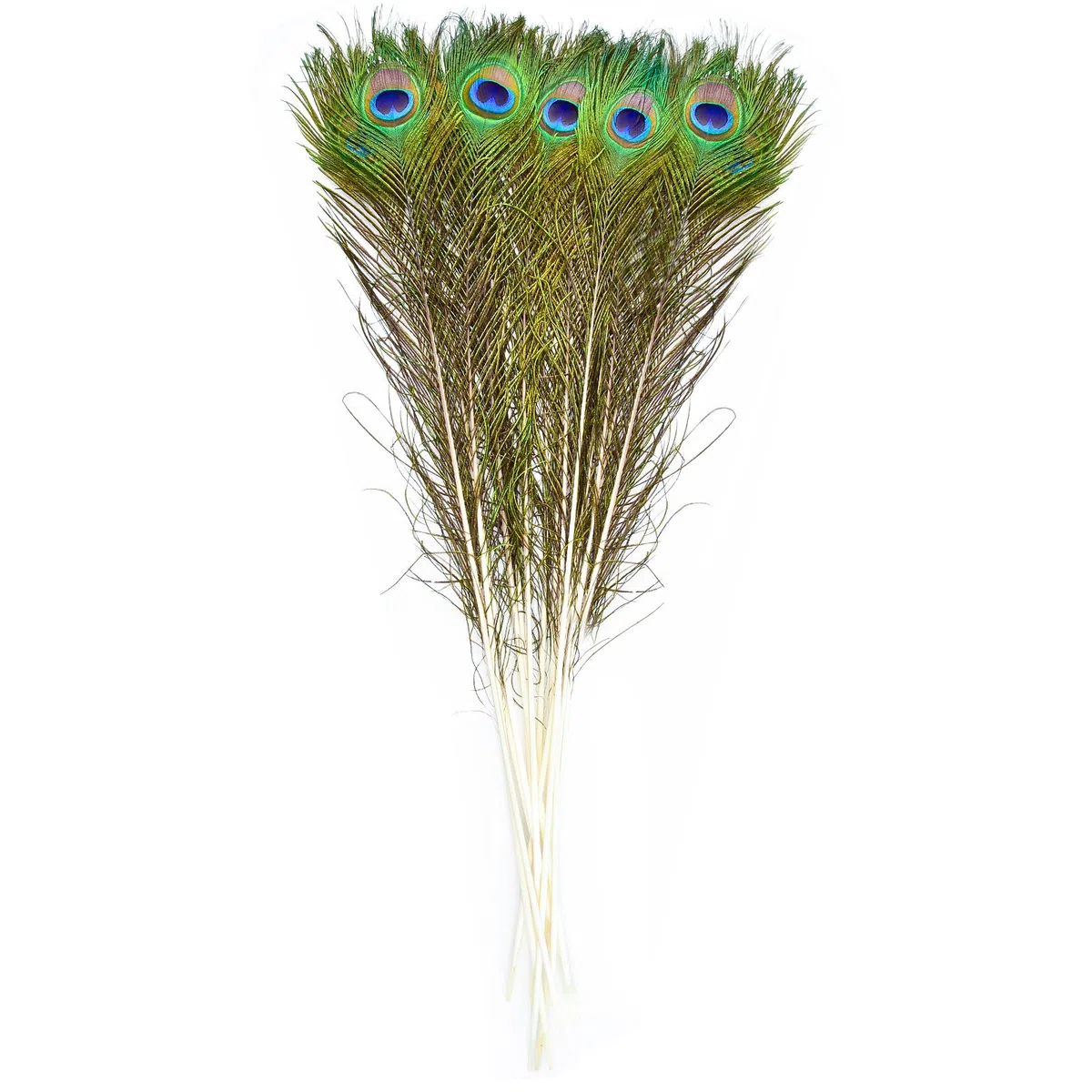10 Stück Pfauenfedern Lang 80~90 cm（31.5~35.4 inch）, Federn Groß Für für Zuhause Dekoration, Hochzeit, Basteln, Vase
