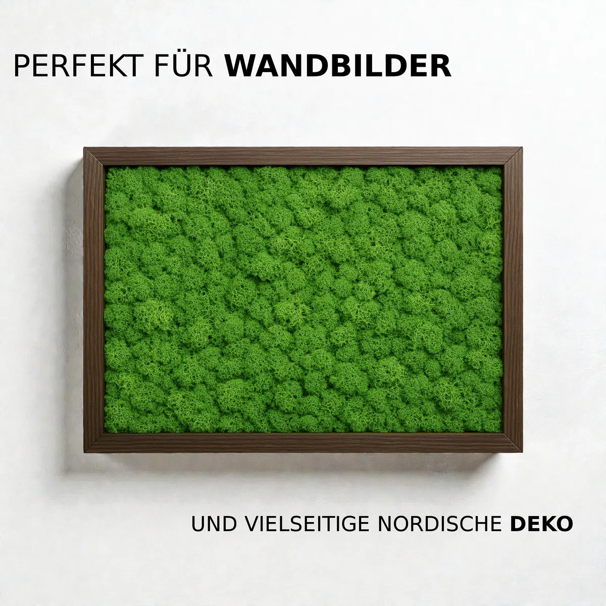 NaDeco Island-Moos 500g, echtes Moos in 30 Farben zur Wahl, fluffig & prall, Basteln Wand Deko Moss, für Moosbild Mooswand Moosplatten Kugelmoos Dekoration Ostern Weihnachten, Farbe:Grasgrün