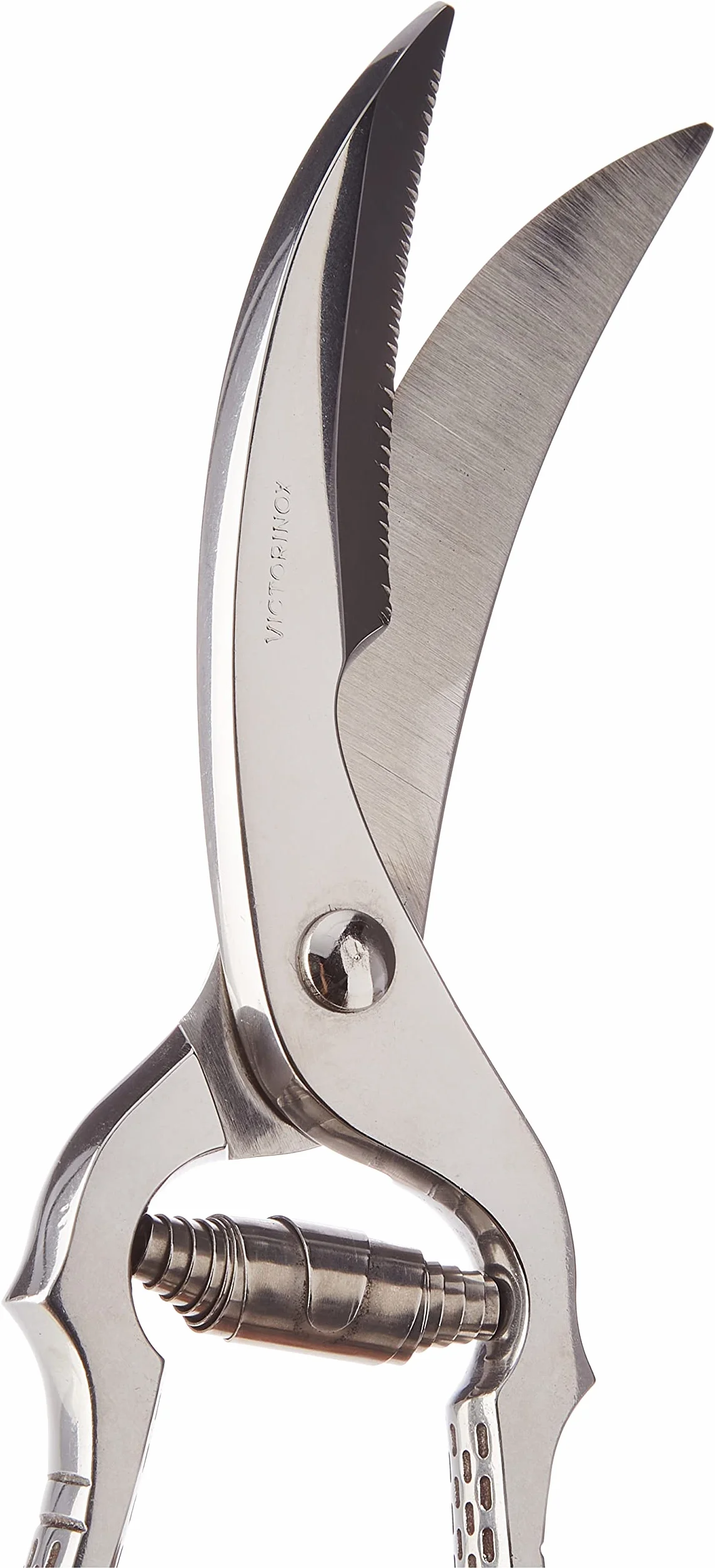 Victorinox Geflügelschere, Küchen-Schere, Extra Scharfe Klingen, Rostfreier Stahl, Metallgriff