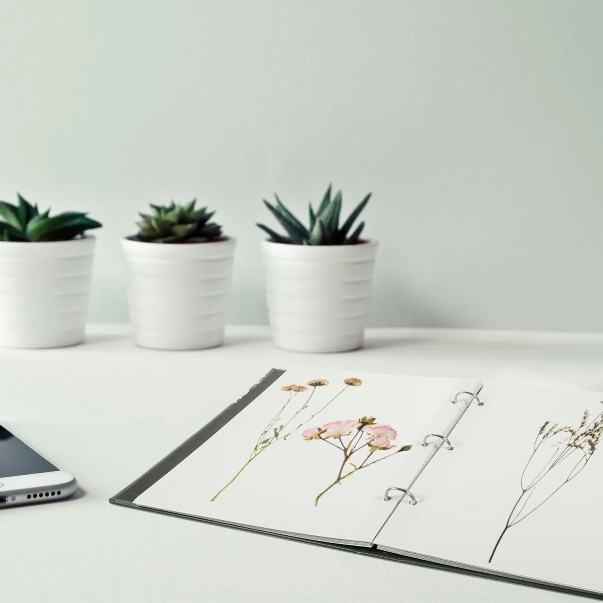 Zerodeko Getrocknete Blumen Sammelalbum Aus Papier Embossed Pflanzenhalter Buch Zur ZuverläSsigen Aufbewahrung Von Trockenblumen Und BläTtern FüR Haushalt Und Basteln