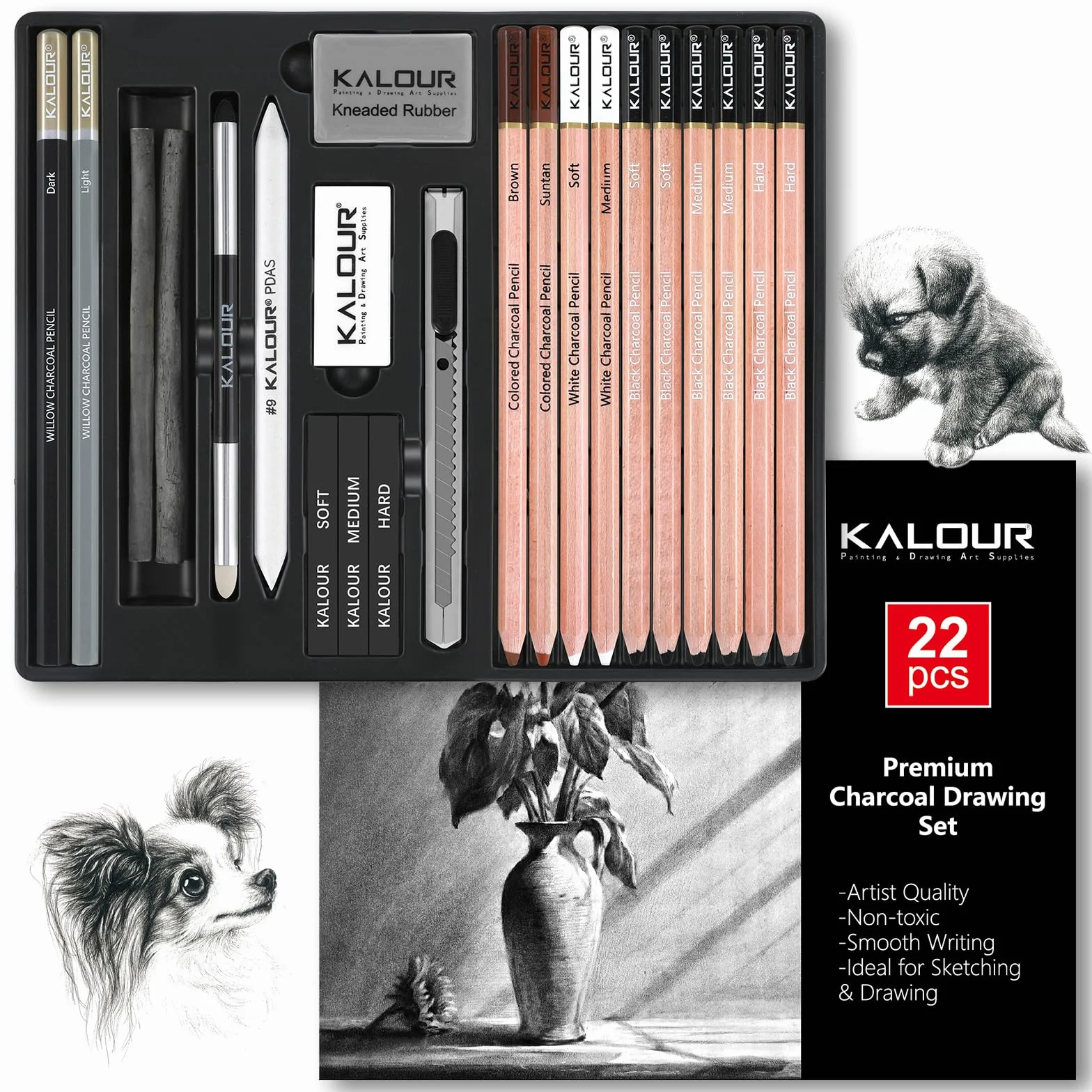 KALOUR PDAS 22-teiliges Zeichenkohle-Set, Professionelles Kunstzubehör, Schwarze und Weiße Kohlebleistifte zum Zeichnen, Skizzieren, Schattieren und Verblenden, für Anfänger und erfahrene Künstler