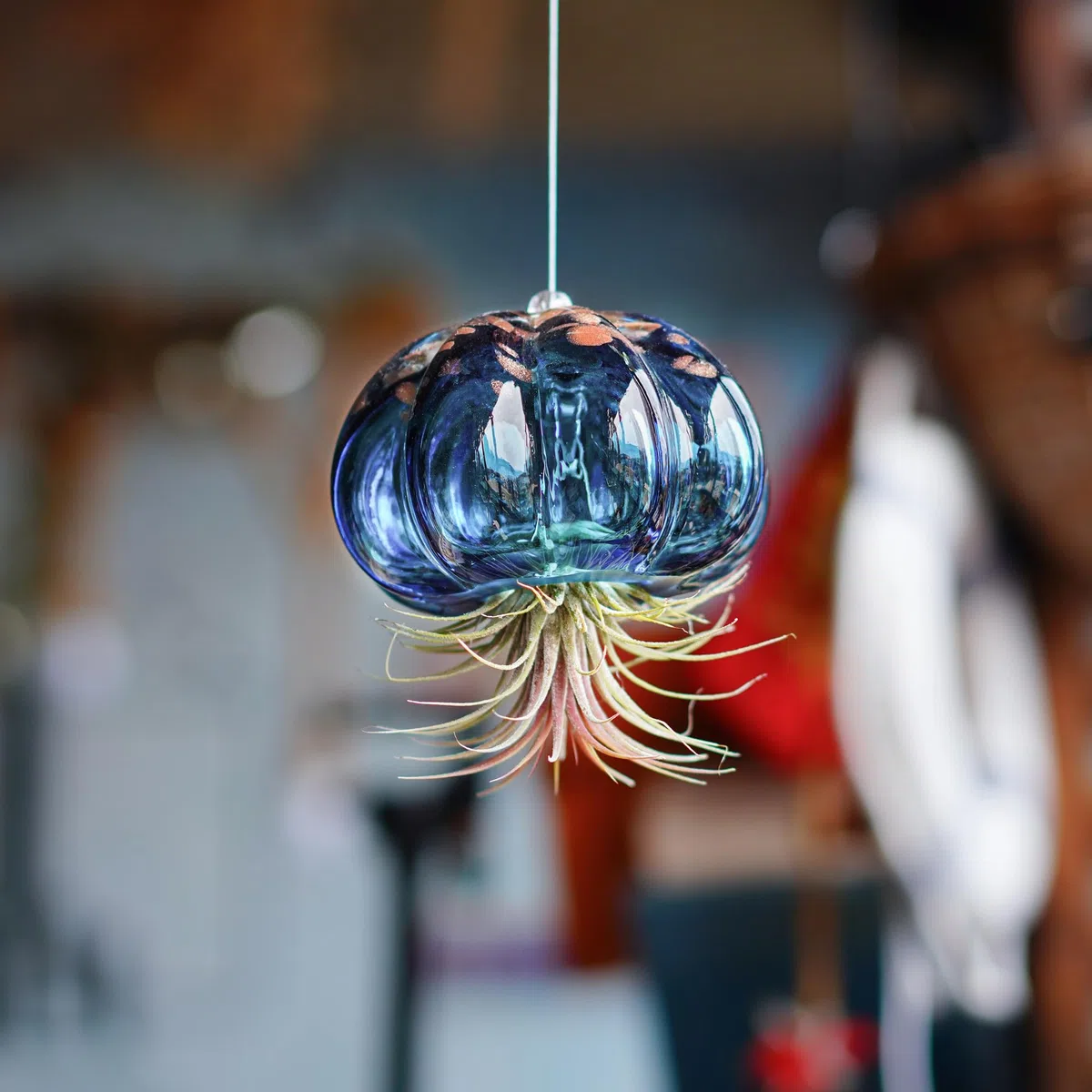Luftpflanzentopf zum Aufhängen in Form einer geblasenen Qualle aus Glas, süßer blauer Quallen Luftpflanzenhalter, Geschenke für Frauenzimmer, Garten, Hochzeitsfeier Dekoration (ohne Pflanzen)