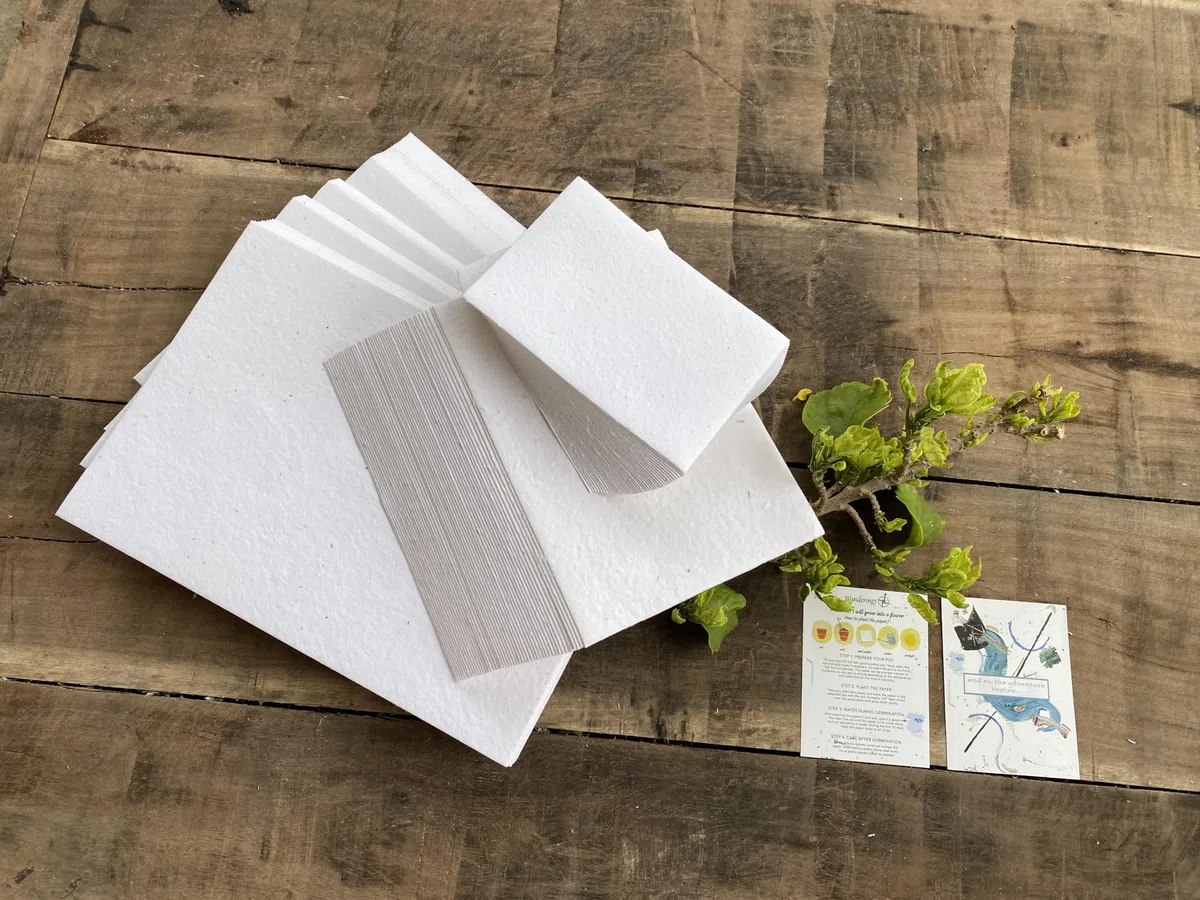 Wanderings Handgemachte Blumensamen Papierkarten – A6 Größe / 10 x 15 cm – 50 Stück – Pflanzbare Wildblumen-Samenpapier für Einladungen, Postkarten & Gedenkfeiern – 250 GSM Büttenrand