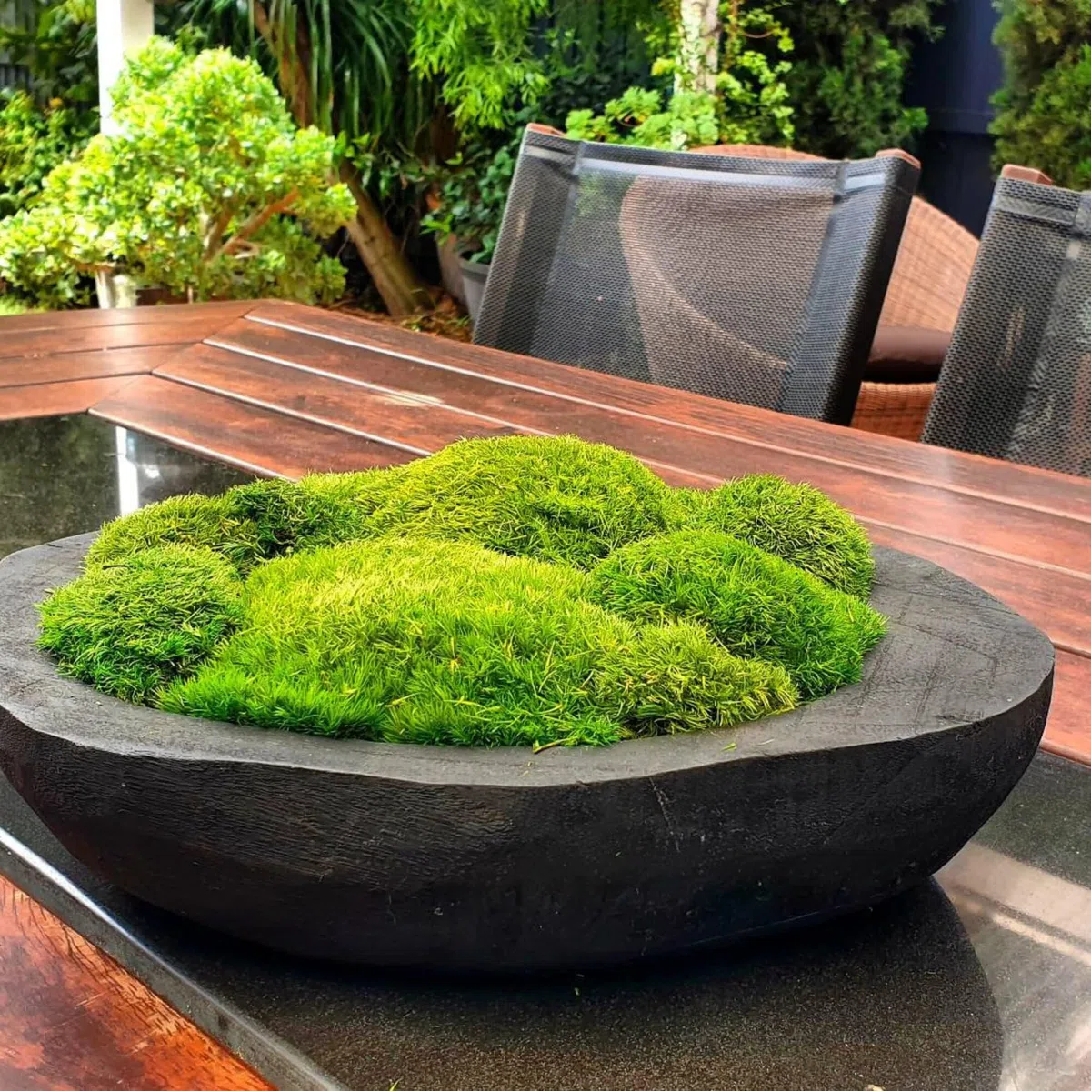 konservierte Pflanzen Stange Mooskissen Dutt Kissen Natur Grün Dekorativ Echt Natur Grün DIY Kit Terrarien Gartenarbeit Kunst Wanddekoration Florist Dekor (Green-b, 1.5 sq.ft.)