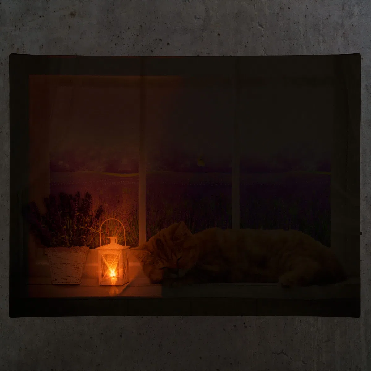 Nexos Trading LED Wandbild Leinwandbild mit Beleuchtung Fotodruck Lavendelfeld 30 x 40 cm 1 LED warm weiß Kunstdruck Leuchtbild Wiese Vintage-Stil Lavendelfeld Katze