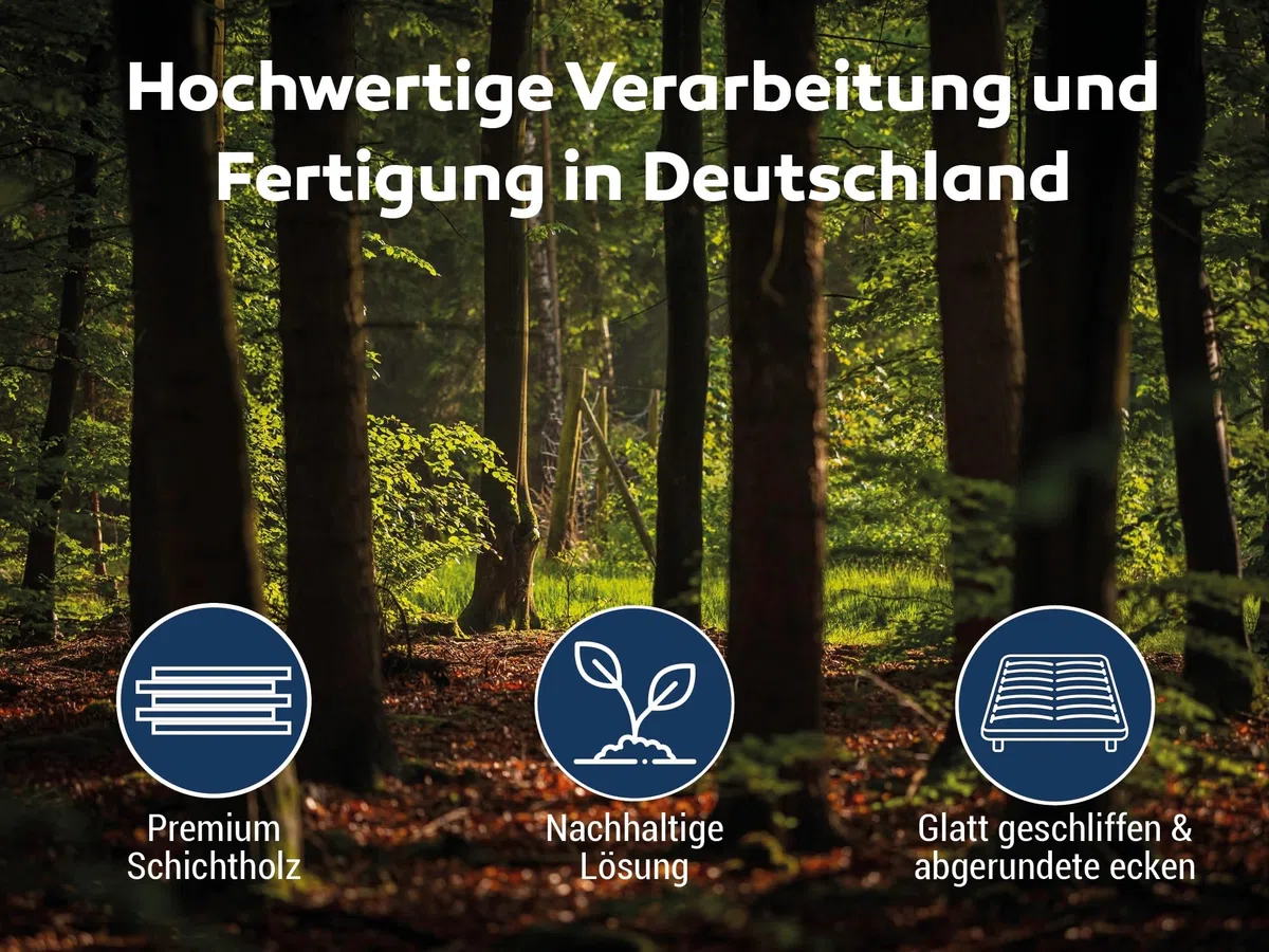 Betten-ABC – Ersatz Federholzleisten – 5er Set – Länge für 90 cm (880 mm) – Breite 34 mm – für viele gängige Lattenroste geeignet – Farbe Natur - hergestellt aus Schichtholz in Deutschland