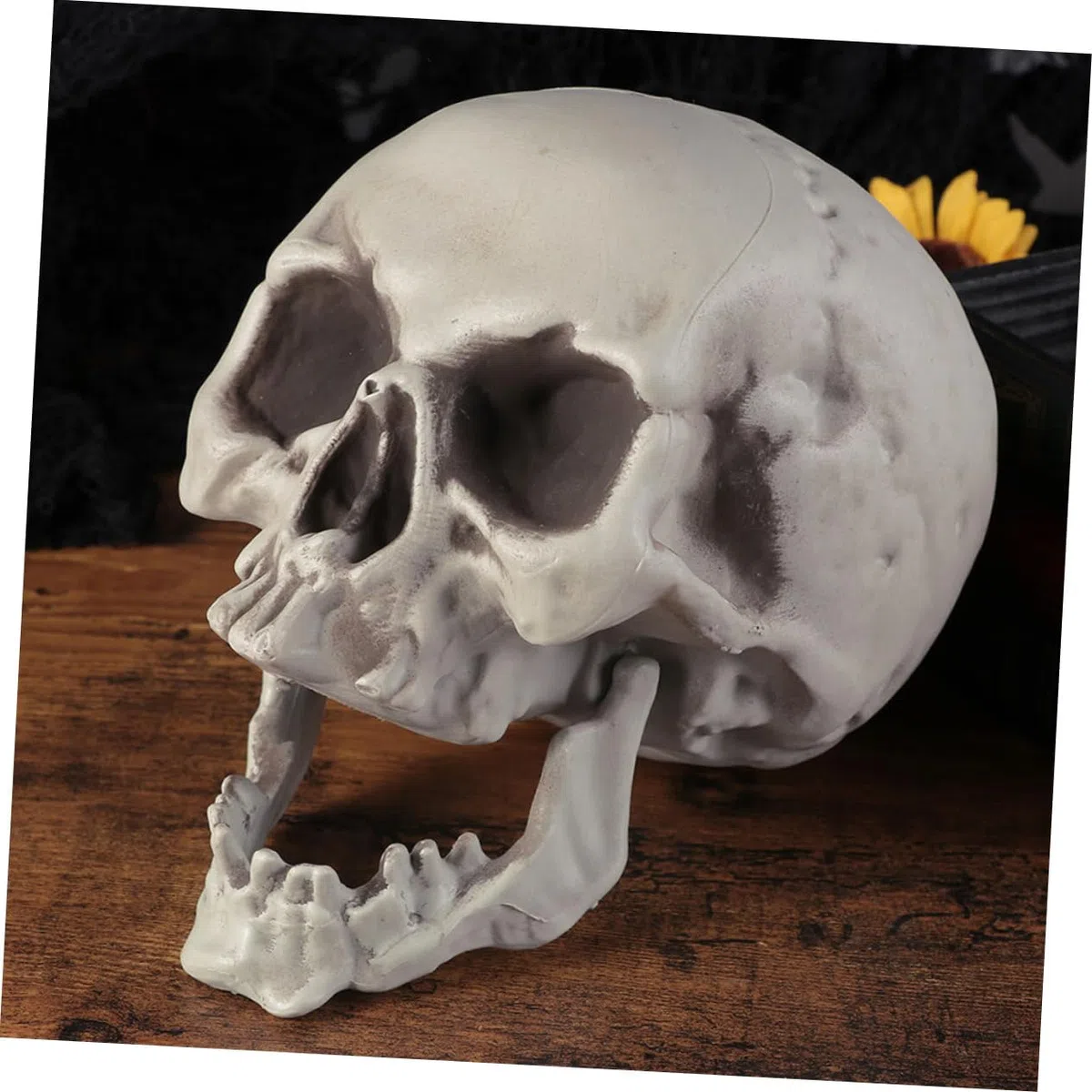 2stücke Simulationsmodelle Menschlicher Schädel für Halloween-Dekoration und Grusel-atmosphäre im Spukhaus
