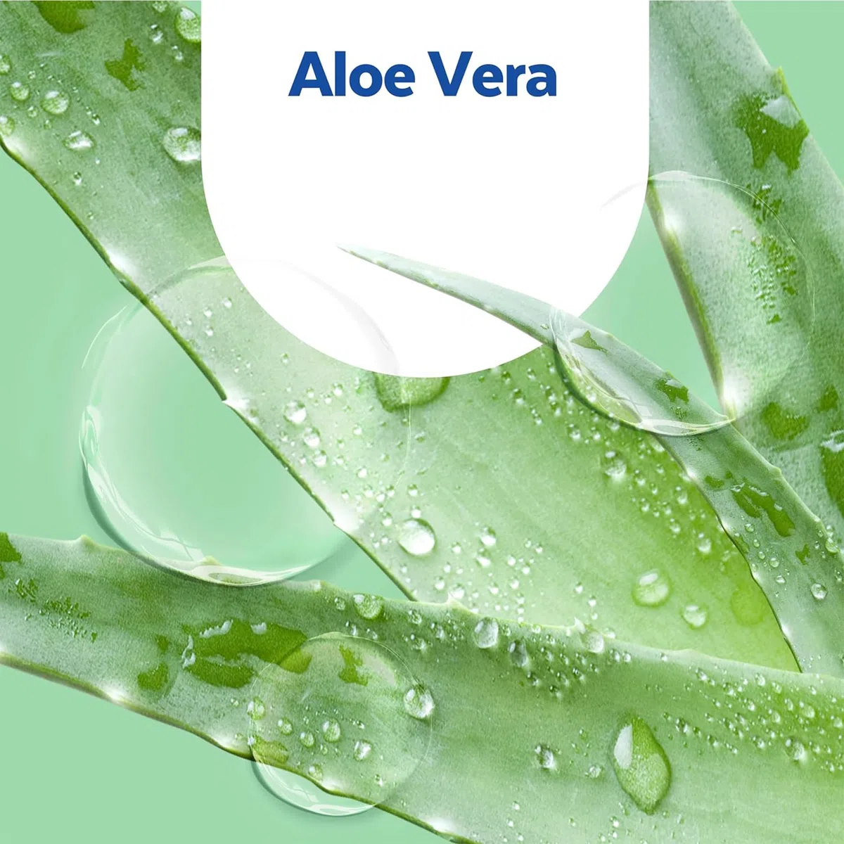 Sagrotan No-Touch Automatischer Seifenspender Weiß – Vorratspack – Inkl. Sagrotan Nachfüllern Aloe Vera – 2 x 250 ml Flüssigseife