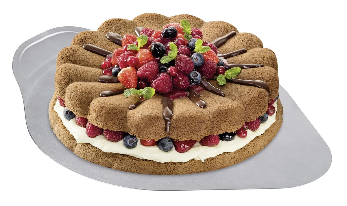Dr. Oetker Tortenheber, Tortenretter aus Edelstahl, Kuchenheber mit praktischem Griff, rostfreies Tortenhebeblech (Kuchenretter: ca 36x28 cm), Menge: 1 Stück