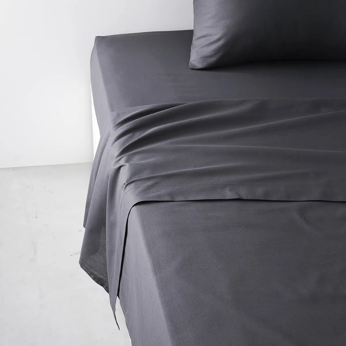 Today Essential Bettlaken für Doppelbett, 240 x 300 cm, Baumwolle, einfarbig, Schwarz