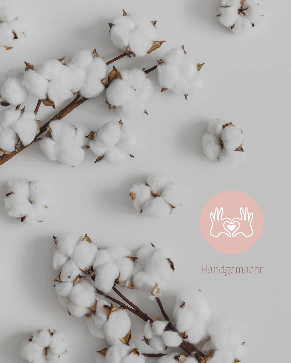 Nina-Maria's Deko Gold Echter Baumwollzweig 3 Stiel mit je 10 Köpfen, getrocknete Baumwolle Zweig, weiß Deko für Vasen, Trockenblumenstrauß, als Hochzeitsdeko oder Tischdekoration