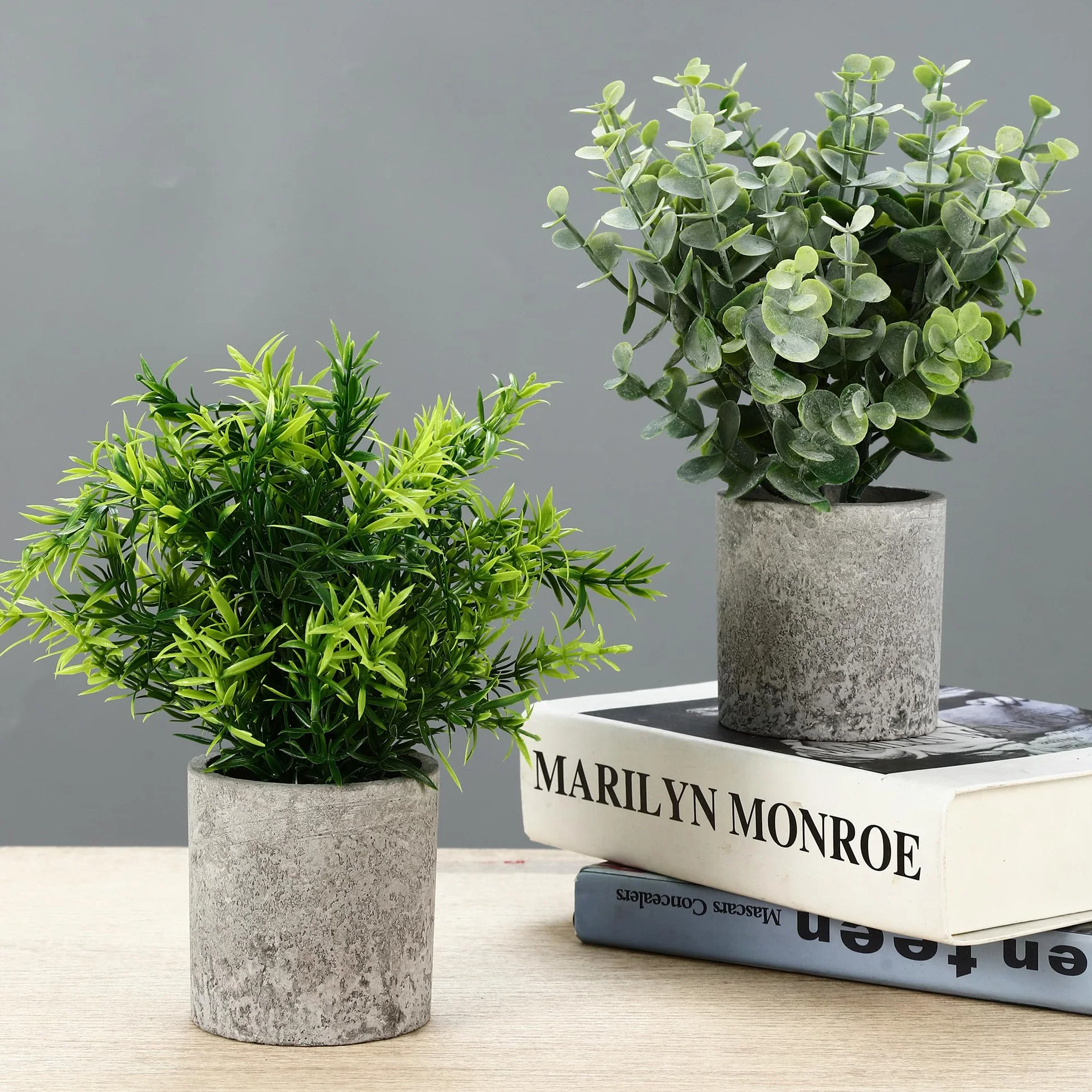 5 Stück Kunstpflanze, Mini Künstliche Pflanzen Schlangenzunge, Agave Sukkulente, Eagle Claw Aloe, Künstliche Pflanzen für Schlafzimmer Büro Dekoration