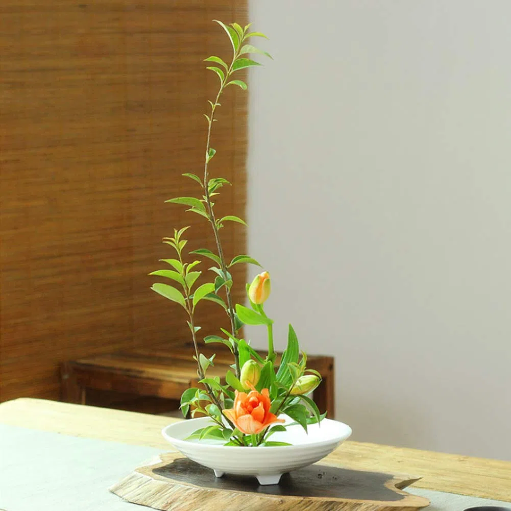 WANDIC Ikebana Blumen-Frosch-Set, 4-teilig, runder Blumenhalter & Nadel-Glättungswerkzeug & Reinigungsbürsten für Blumenarrangement Kunst