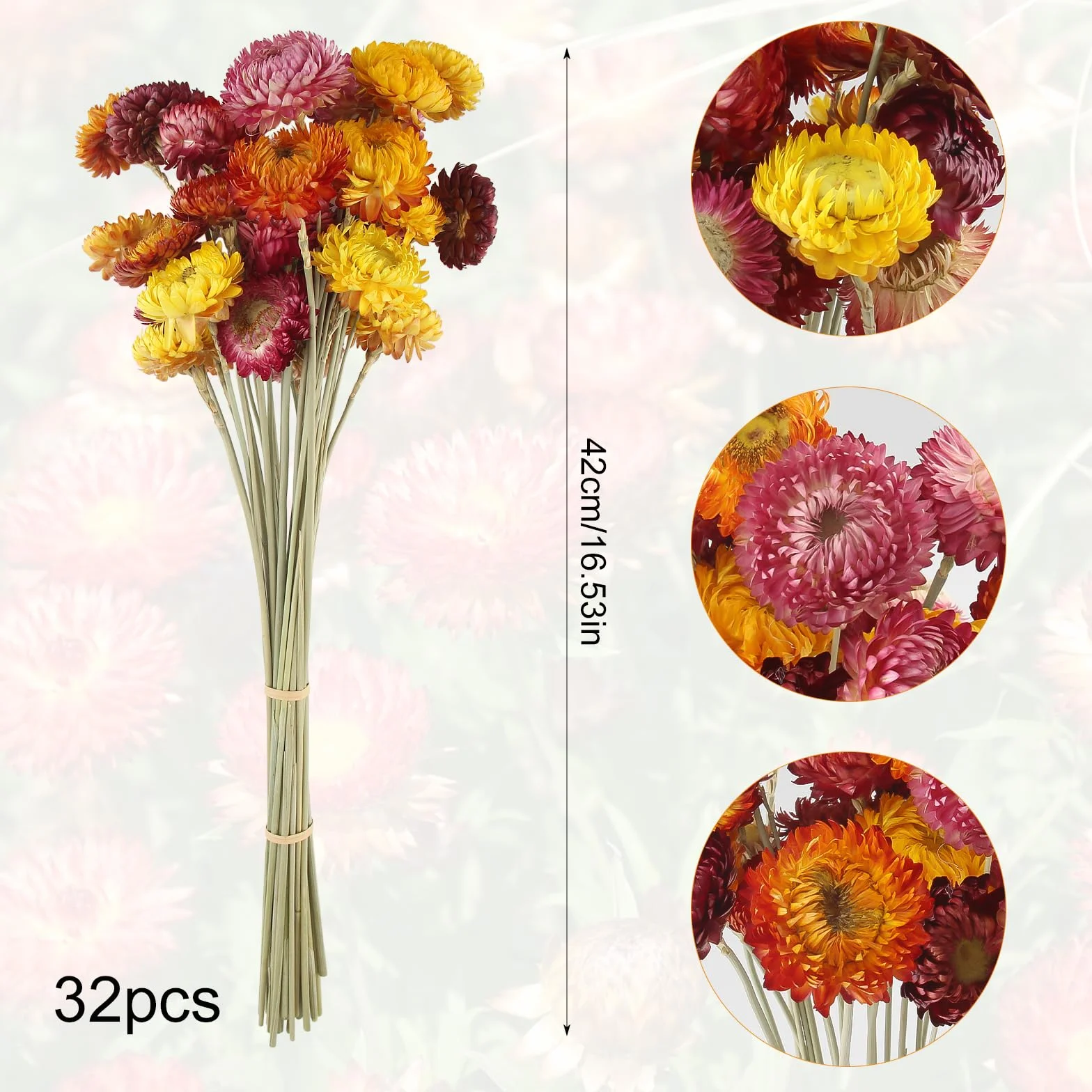 32 Stück Trockenblumen Trockenblumenstrauß Mehrfarbige Getrocknete Gänseblümchen Getrocknete Blumen Natur Trocken Pflanze für DIY Blumenarrangements Hochzeit Zuhause Tischvasendekoration