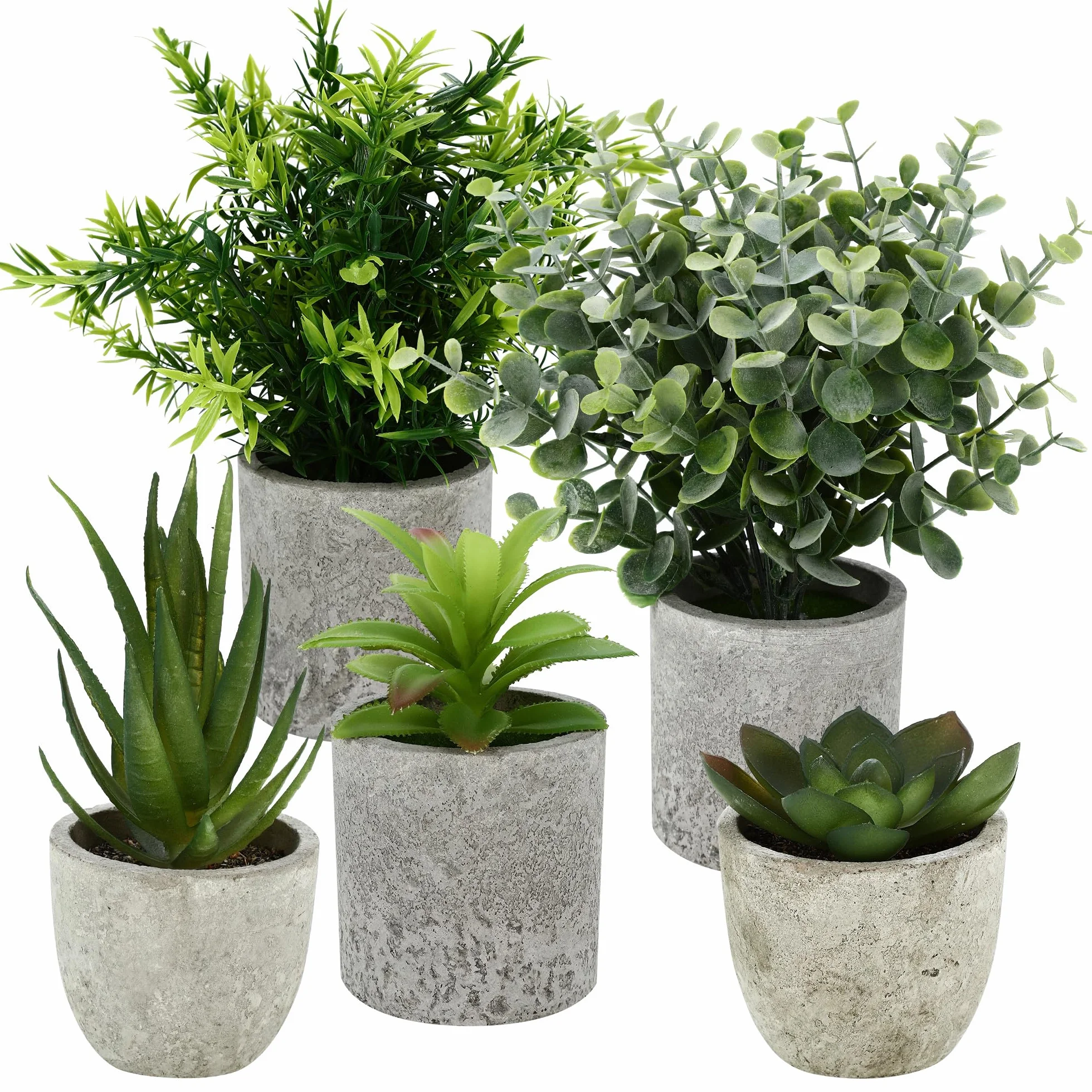 5 Stück Kunstpflanze, Mini Künstliche Pflanzen Schlangenzunge, Agave Sukkulente, Eagle Claw Aloe, Künstliche Pflanzen für Schlafzimmer Büro Dekoration