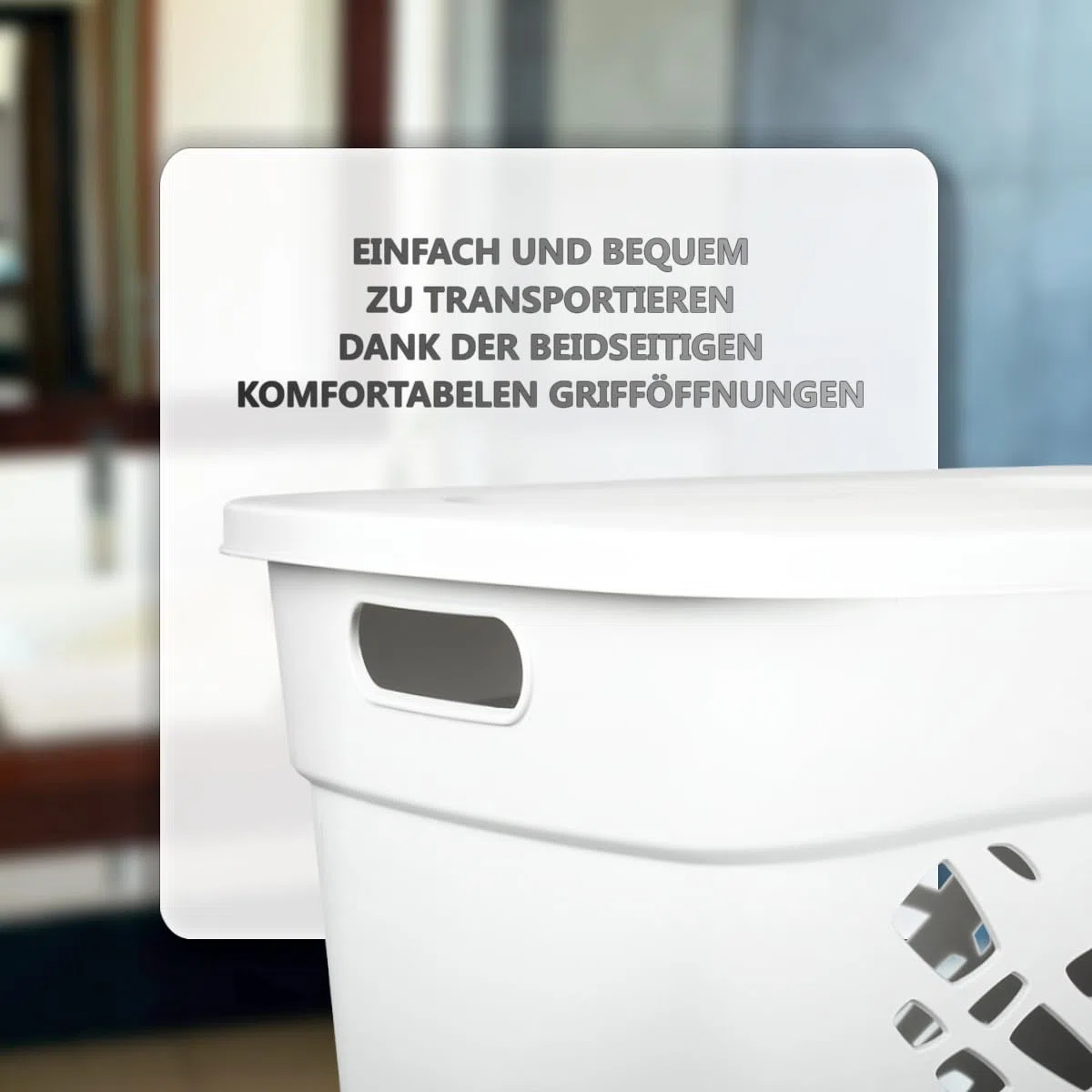 Wäschebox Wäschesammler 60L Wäschekorb mit Deckel Wäscheaufbewahrung aus Kunststoff Wäsche Sortierer