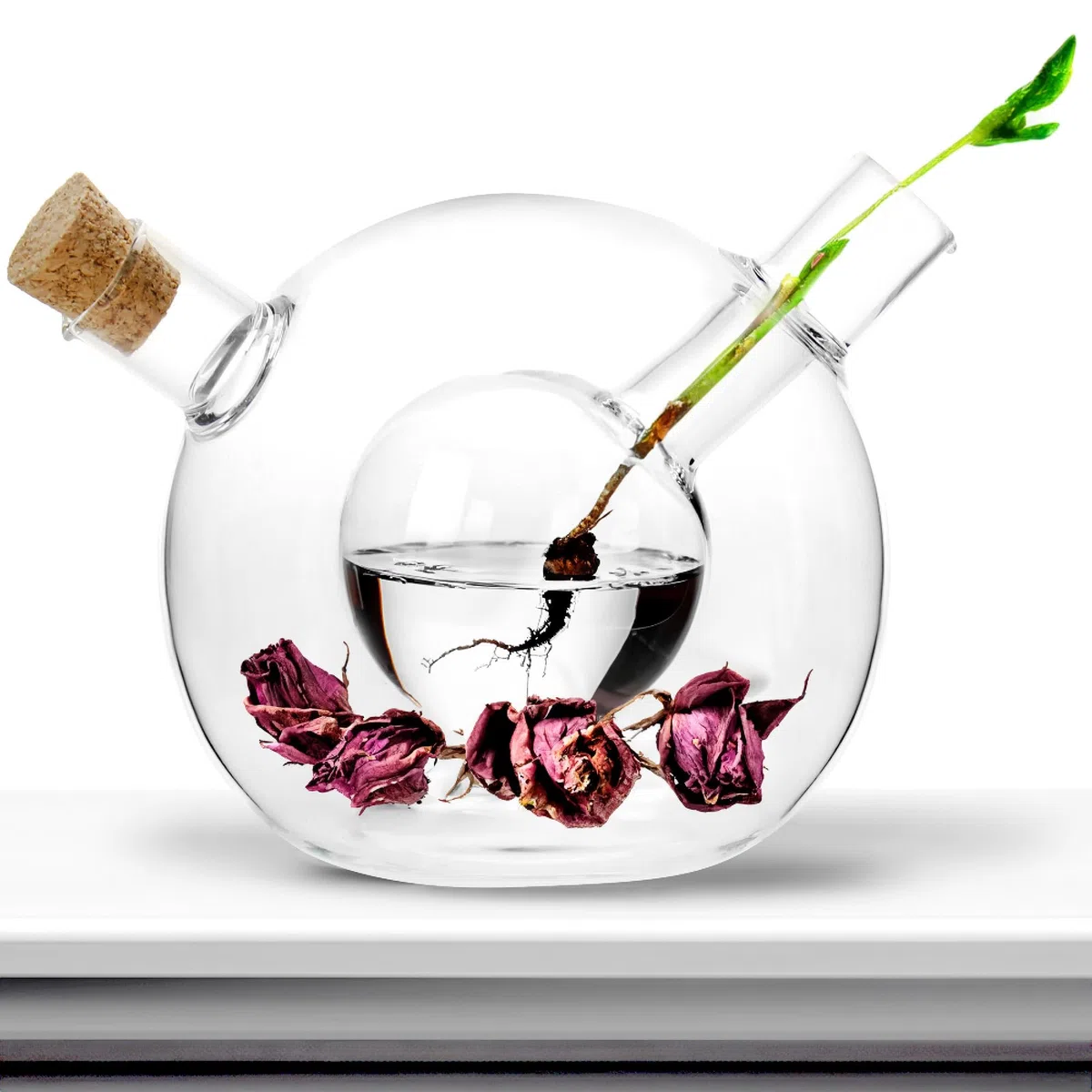 2-teiliges Ölspender Set - 2 in 1 Essig- und Ölflasche mit Korken - Glasbehälter zum Befüllen - Glasflaschen mit Einsatz und 2 Öffnungen - Glaskaraffen