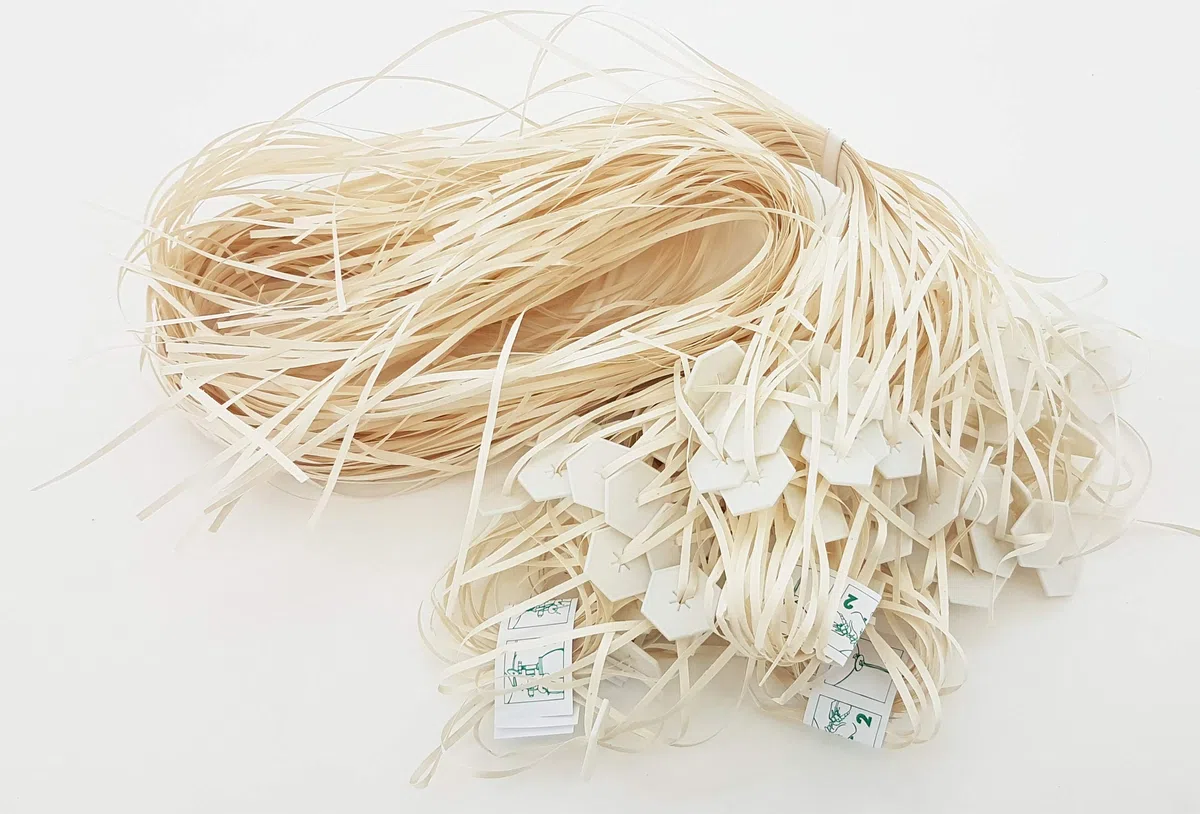 Fix-Verschlüsse inkl. Halteband naturfarben, biologisch abbaubar, 100 St., für Gasbefüllung