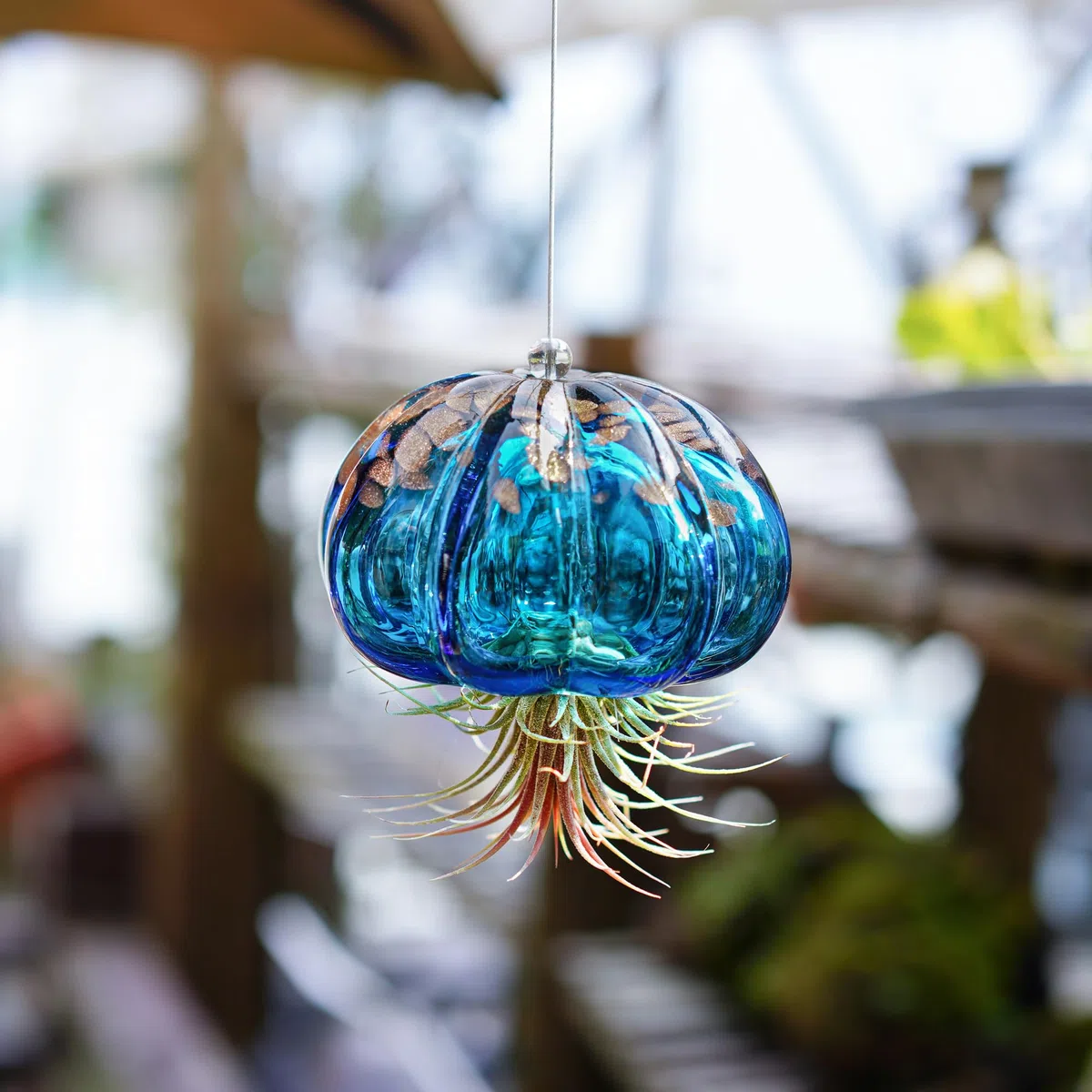 Luftpflanzentopf zum Aufhängen in Form einer geblasenen Qualle aus Glas, süßer blauer Quallen Luftpflanzenhalter, Geschenke für Frauenzimmer, Garten, Hochzeitsfeier Dekoration (ohne Pflanzen)