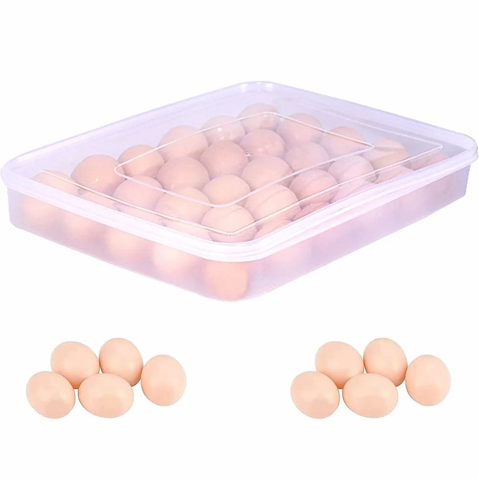 Eier Behälter, Eier Behälter Mit Deckel, Eierbox Aus Kunststoff, Eierbehälter mit Decke, für 30 Eier, Tragbare Ei Aufbewahrungsbox, für Kühlschrank
